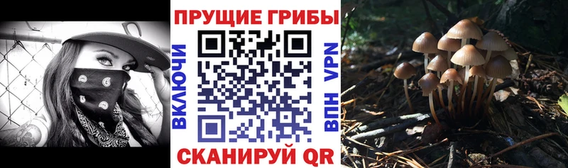 купить закладку  blacksprut ссылка  Псилоцибиновые грибы мицелий  Лангепас 